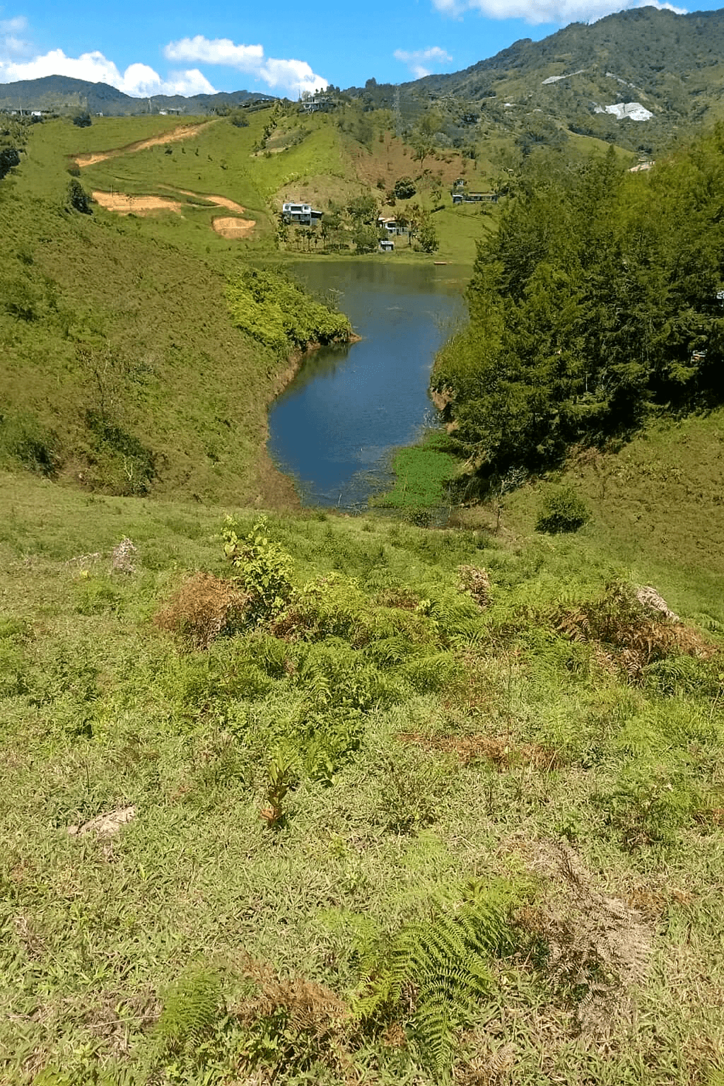 Imagen 2 de la propiedad Lote en Venta El PEÑOL  