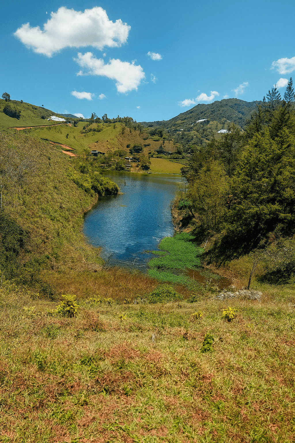 Imagen 6 de la propiedad Lote en Venta El PEÑOL  