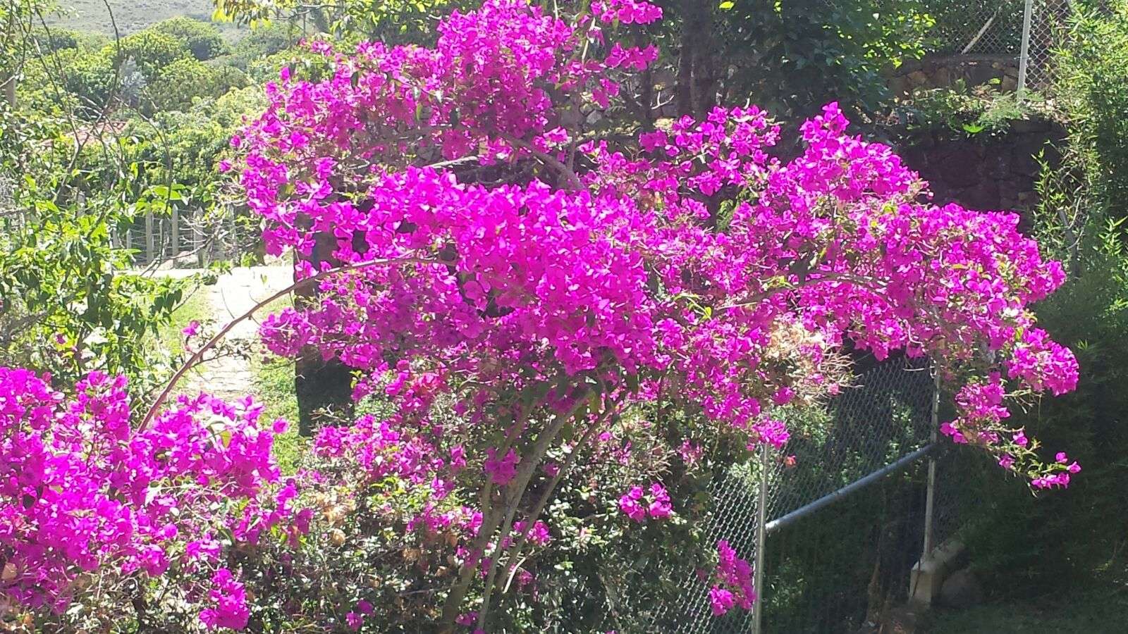 Imagen 7 de la propiedad ESPECTACULAR FINCA DE RECREO COPACABANA