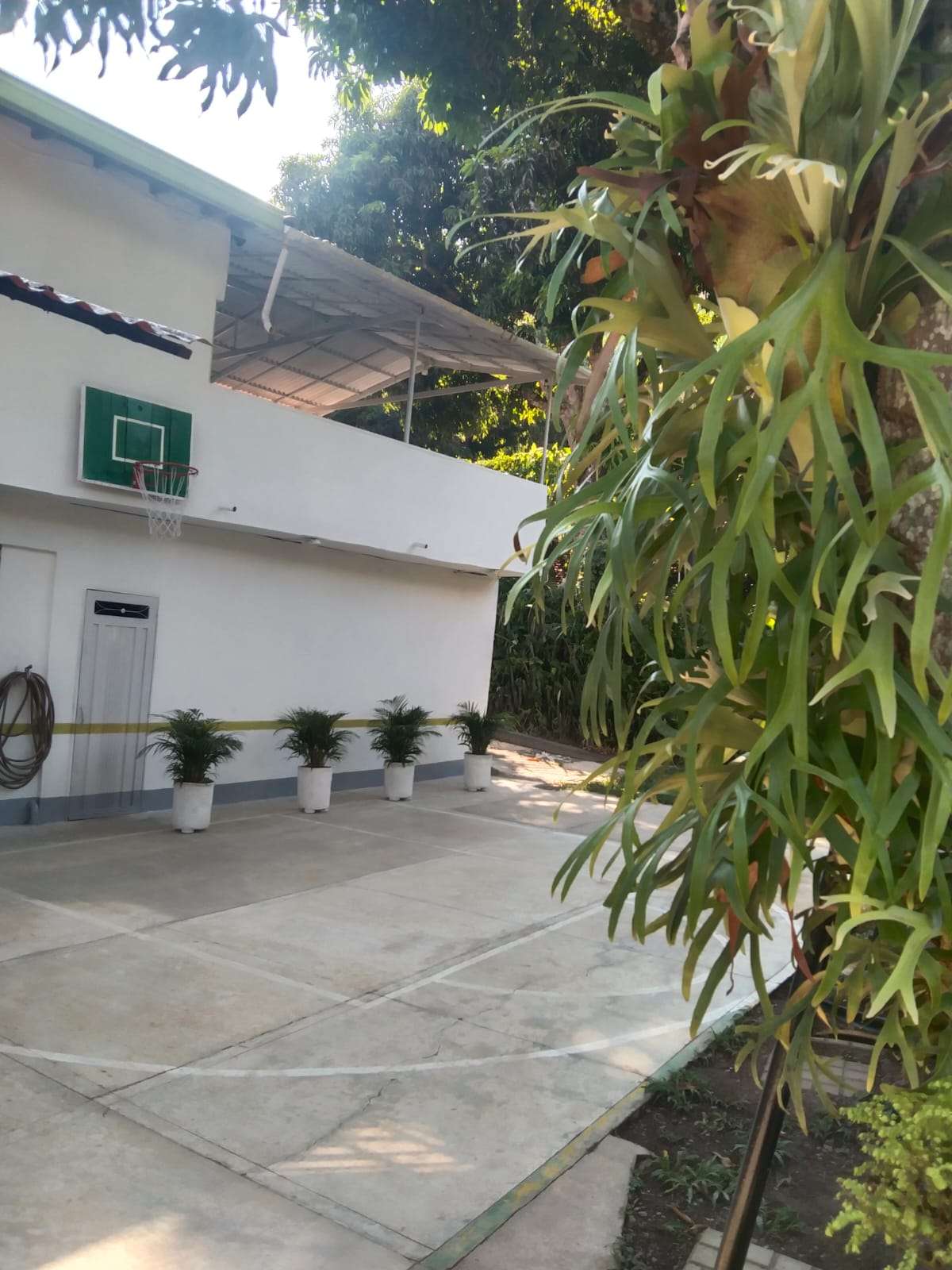 Imagen 4 de la propiedad Finca en venta  Santa Barbara Antioquia