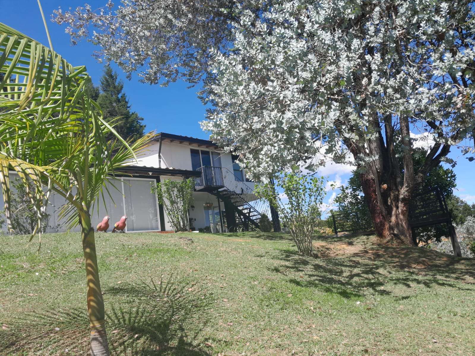 Imagen 7 de la propiedad Finca Hotel en Venta, Guarne Antioquia