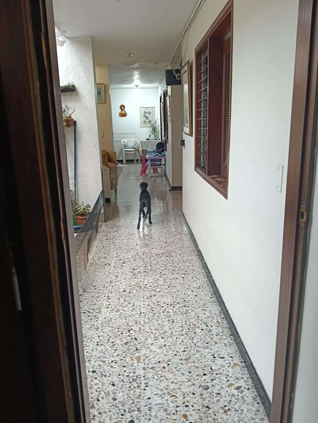 Imagen 7 de la propiedad Casa y Local en venta, Barrio Mesa