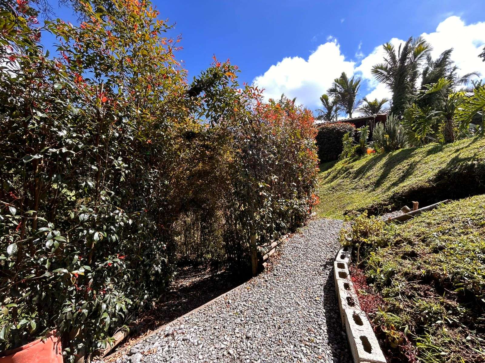 Imagen 19 de la propiedad Finca Glamping en venta, Entre Guarne y San Vicente