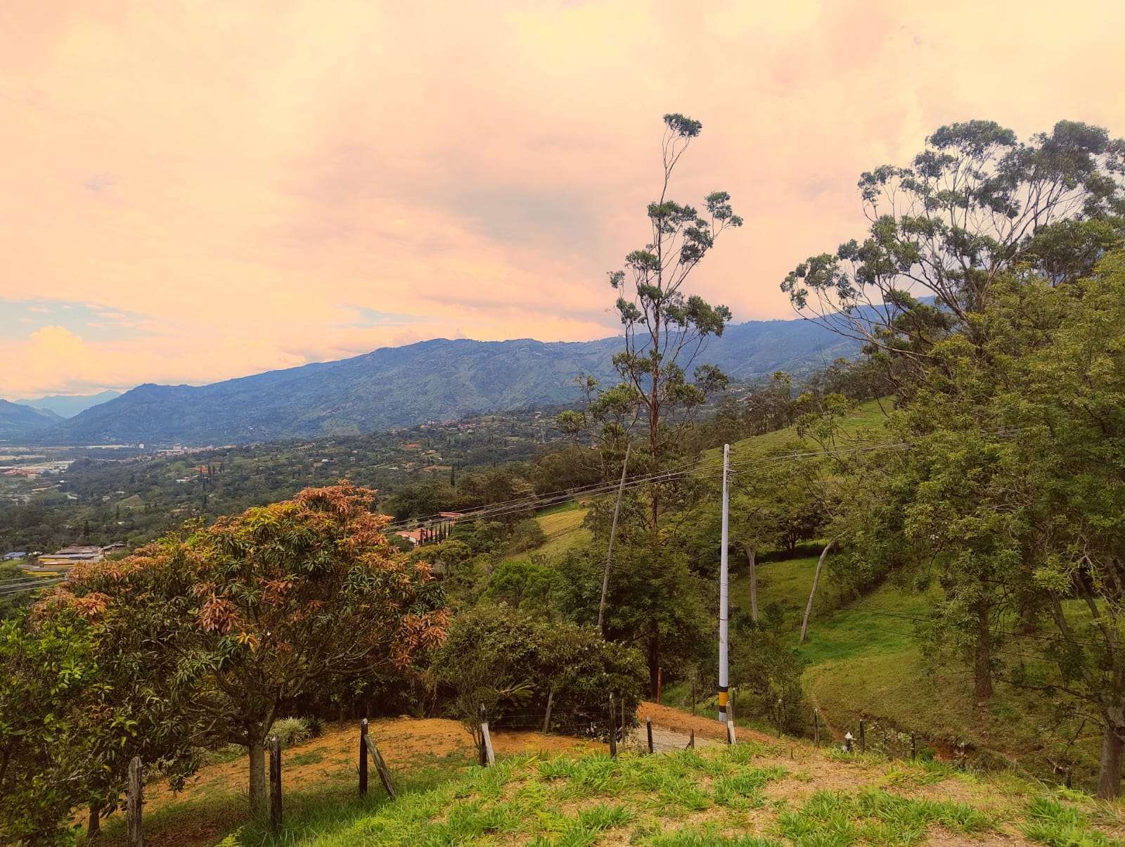 Imagen 19 de la propiedad Finca en venta el Totumo