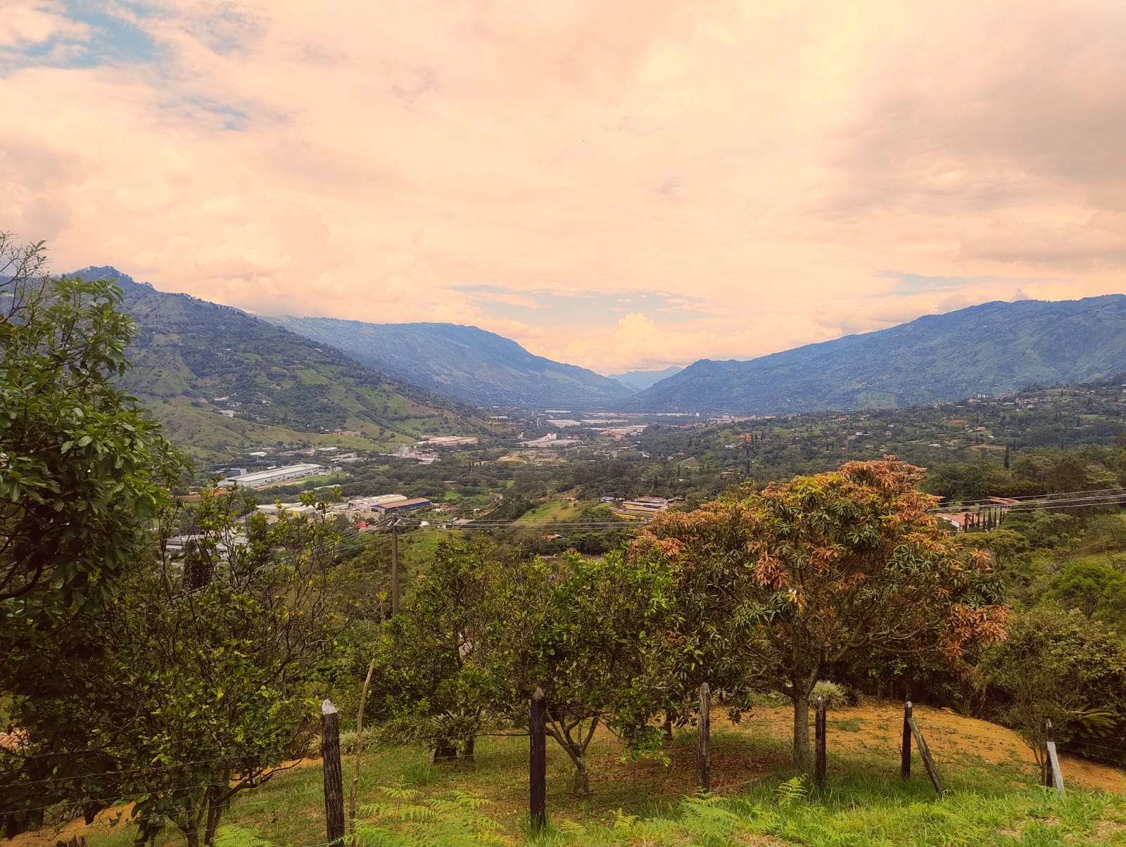 Imagen 13 de la propiedad Finca en venta el Totumo