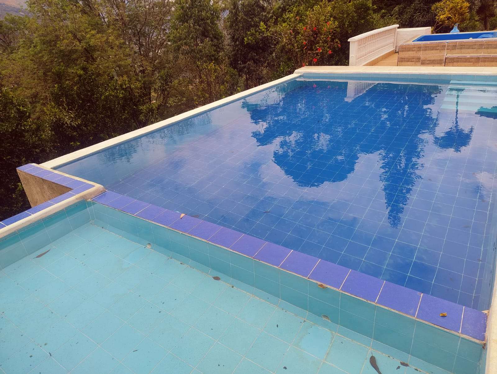 Imagen 5 de la propiedad Finca en venta el Totumo