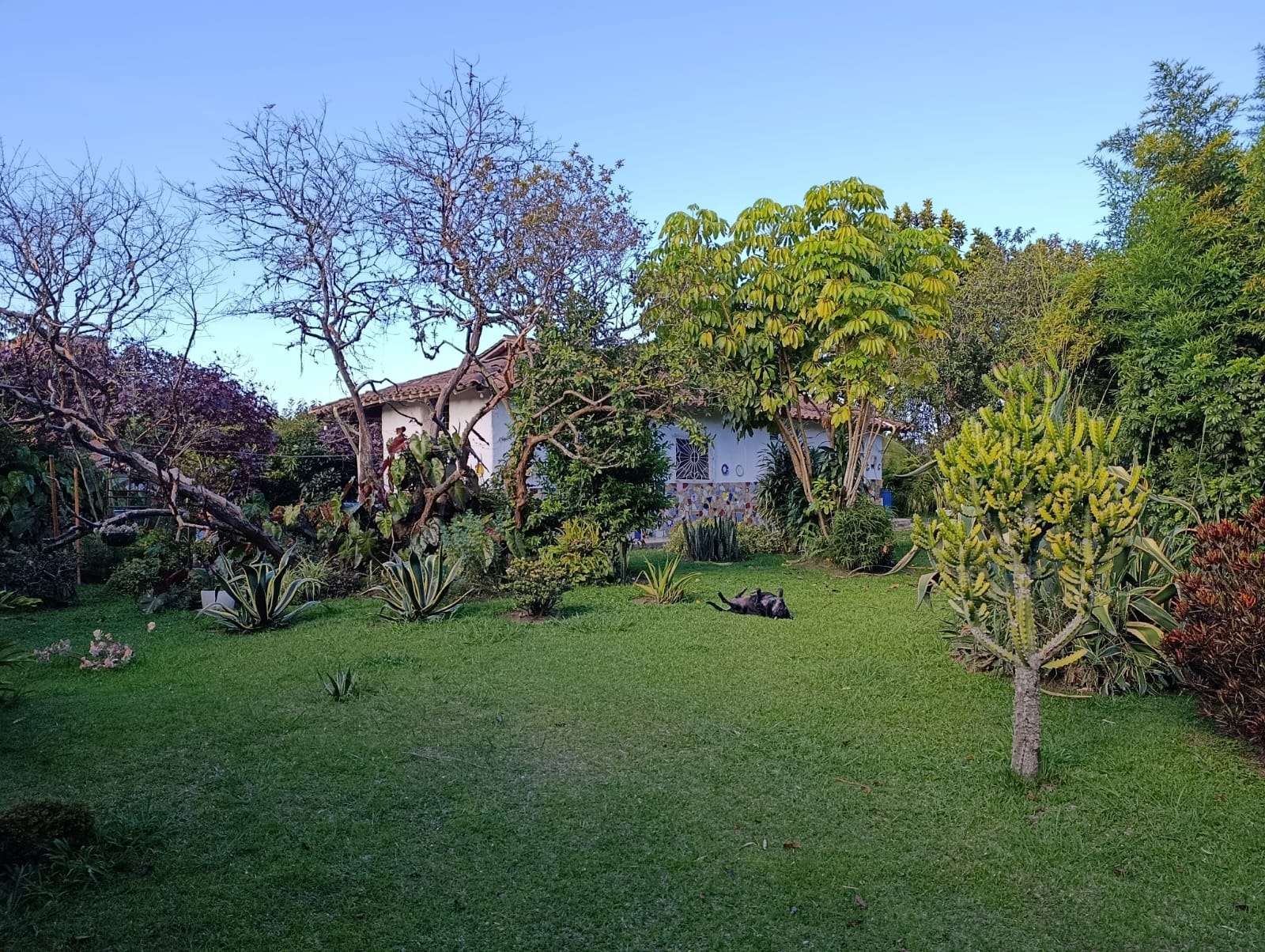 Imagen 4 de la propiedad Casa finca en venta