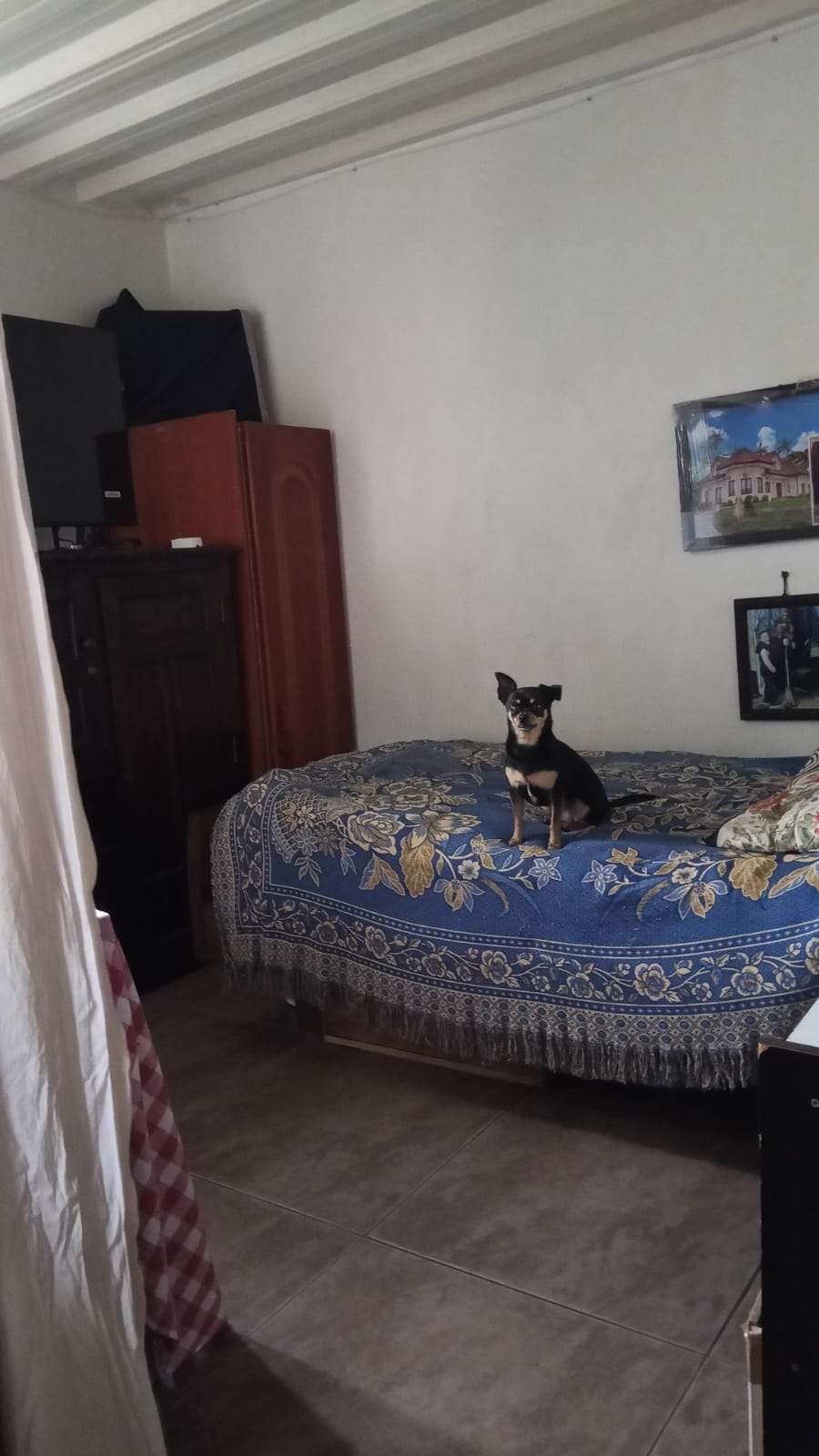 Imagen 8 de la propiedad Apartamento en venta Rionegro