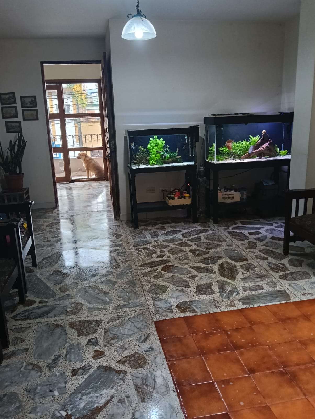 Imagen 3 de la propiedad Casa y Local en venta, Barrio Mesa