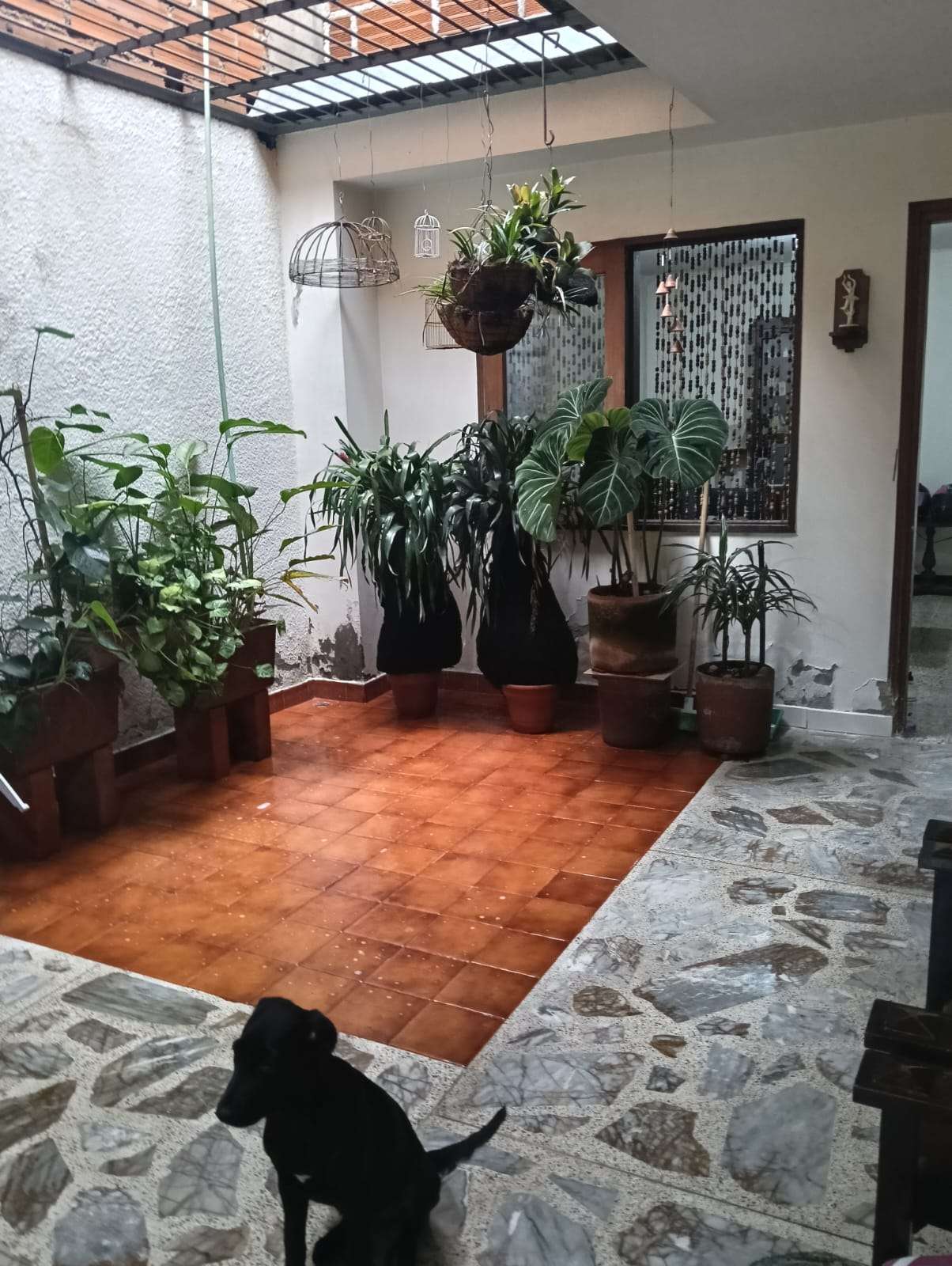 Imagen 6 de la propiedad Casa y Local en venta, Barrio Mesa
