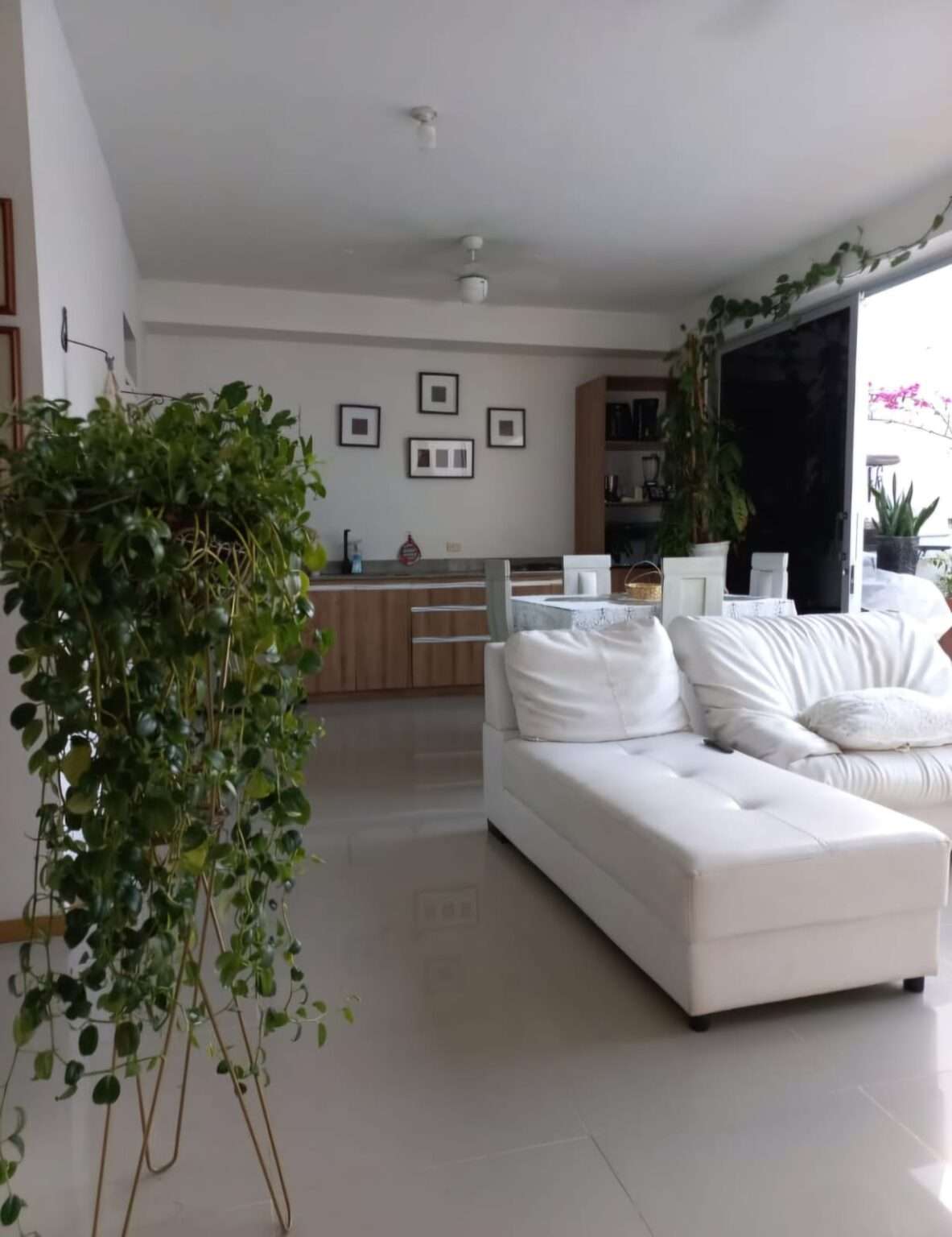 Imagen 8 de la propiedad Apartamento en Venta en San Jerónimo